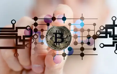 How to Build a Crypto Portfolio From Scratch